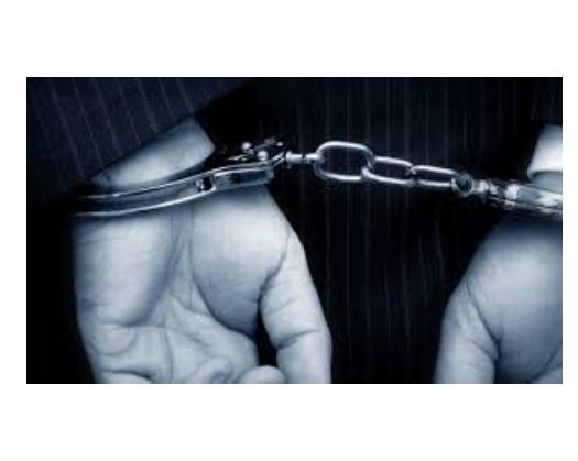 Expats Arrested After Human Trafficking Bust In Bausher