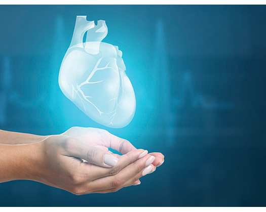 Oman Observes Organ Donation Day