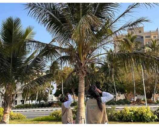 Environment Authority Eradicates 161,410 Invasive Birds In Dhofar