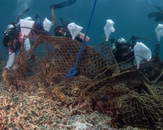 World Ocean Day: Underwater Clean-Up At Dimaniyat Islands Nature Reserve