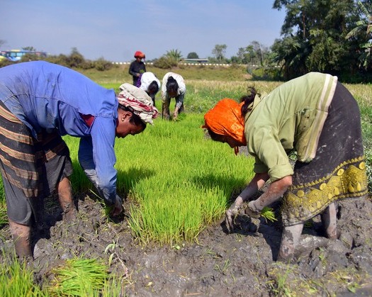 Rural Economy Is Driving India's Growth, Govt Capex In Infra Will Stimulate It: Report