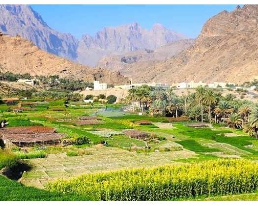 'Jabal' Farm: A Unique Tourist Destination With Geometric Formation Irrigated In Traditional Way