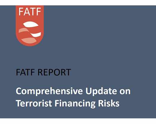 FATF Report Reinforces India's Position On State Sponsored Terrorism