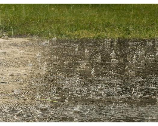 Rainfall Expected Over Parts Of Oman