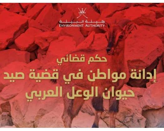 Citizen Convicted For Hunting Protected Arabian Ibex In Oman