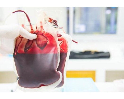 People Urged To Donate Blood In Oman