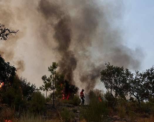 Europe Faces Record-Breaking Wildfires As Climate Change Worsens 2025 Season