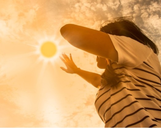 Surviving Scorching Summer: Expert Tips For Staying Safe And Healthy