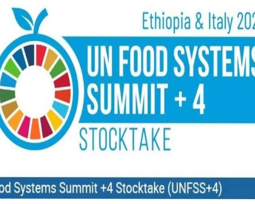 Oman Participates In 2nd UN Food Systems Summit In Addis Ababa