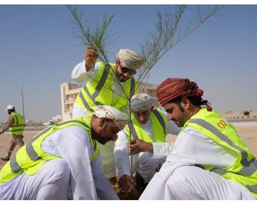 Tree Planting Plan For 2024 Nears Completion