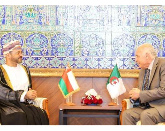 Foreign Minister Holds Talks With Algerian Minister Of Foreign Affairs