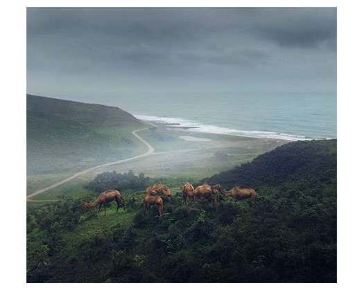 Dhofar' Mesmerising Autumn And Its Appeal To Photographers