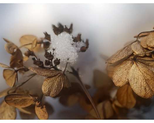 Oman Experiences Sharp Temperature Drop; Frost Forms In Sarat Mountains