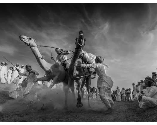 Winners Of “International Black And White Photography Biennale” Feted