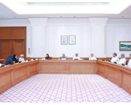 State Council Committee Hosts Health Ministry Officials