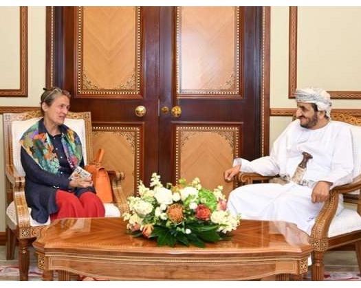 Undersecretary For Political Affairs Meets Dutch Ambassador To Yemen