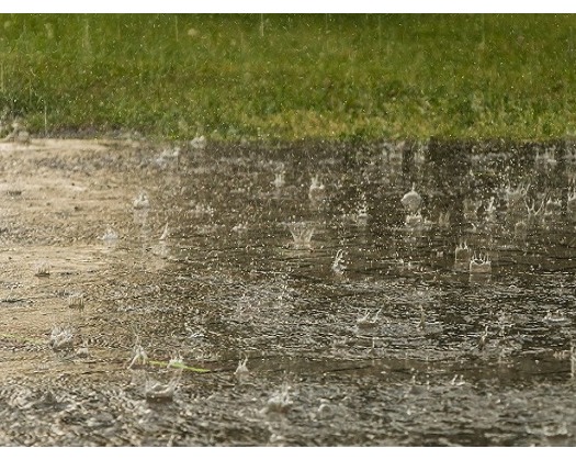 Scattered Rainfall Forecast For Parts Of Oman