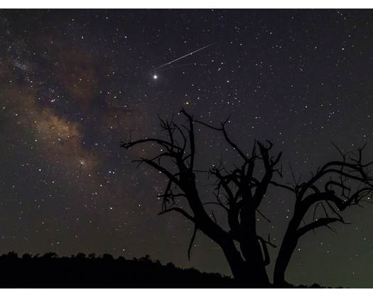 Suhail Star Sighted In Oman; Marking End Of Peak Summer Heat