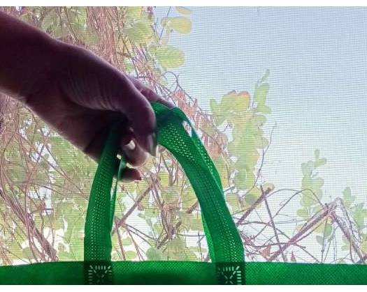Shoppers Buy ‘Green’ Bags As Third Phase Of Plastic Ban Rolls Out