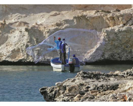 Oman Announces Two-Month Ban On Kingfish Trading And Fishing