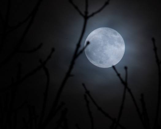 Let's Capture That Stunning Supermoon