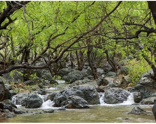 Embrace Picturesque Views And Rejuvenate With Magical Springs In Dhofar's Ayn Hamran