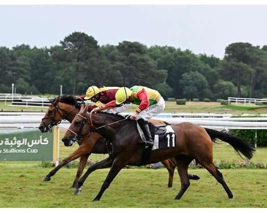Al Rasha Of Royal Cavalry Wins First Place At Bordeaux Racecourse In France