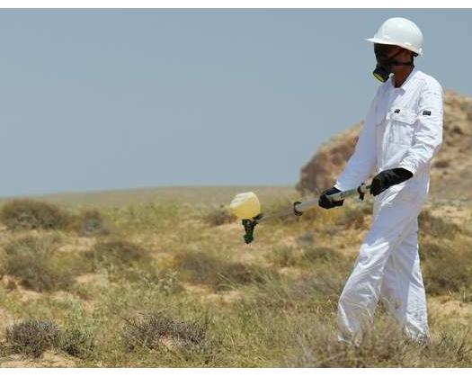 Agriculture Ministry Confirms Control Over Desert Locusts In Oman