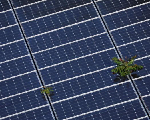 OQ8 Powers Up Sustainability With 47,048 m2 Of Solar Panels