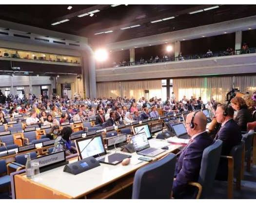 Oman Elected President Of Seventh Session Of United Nations Environment Assembly