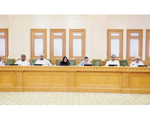 Anti-Trafficking Law Reviewed With Omani Human Rights Committee