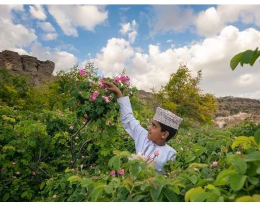 Over 415,000 Visit Heritage, Tourism Sites In Al Dakhiliyah