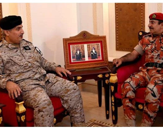 RAO Commander Receives Saudi Delegation