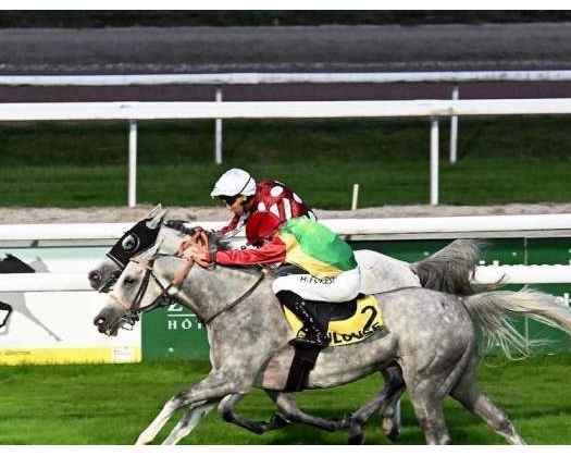 Royal Cavalry Mare 
