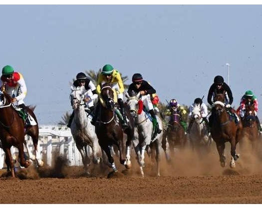 Sultanate Of Oman Accords Special Attention To Equestrian Sports