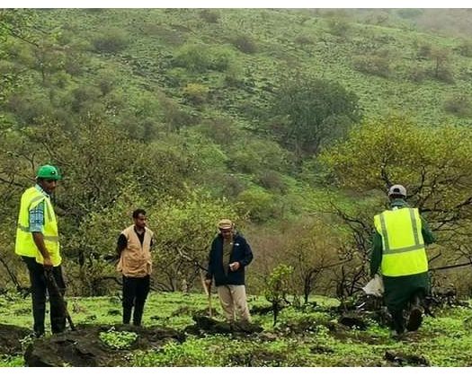 EA Leading A Drive For Growing 4 Million Local Trees In Dhofar