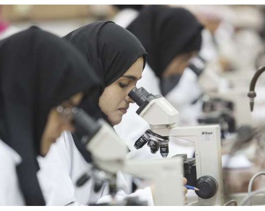Oman Making Efforts To Be Among Top In Global Innovation Index By 2030