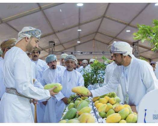 Saham Fruit Festival Features Diverse Activities