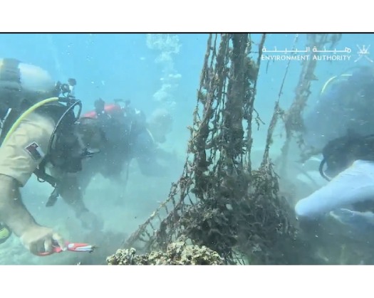 Dimaniyat Islands Sees Major Coral Reef Cleanup