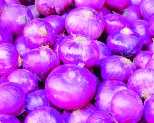 MoFAWR Announces New Onion Production Project