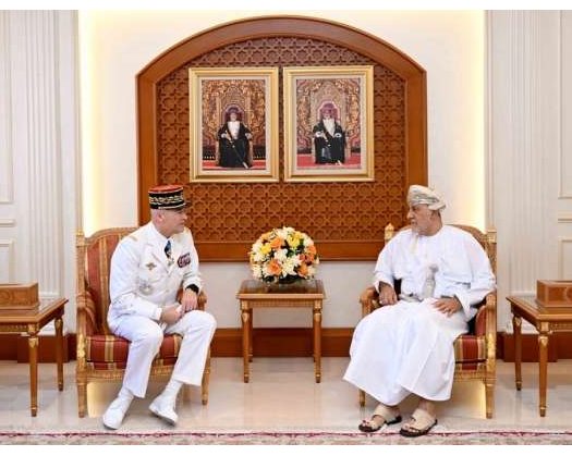 Deputy PM For Defence Affairs Receives French Military Official