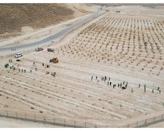 Campaign To Plant 10,000 Wild Trees Begins In Dhofar