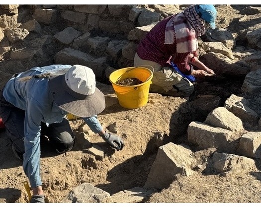 Bronze Age Settlement Found Near Bat Ruins In Al Dhahirah