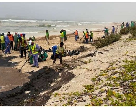 Intensive Efforts Exerted, No New Leaks Detected In Oil Pollution On Salalah Coasts
