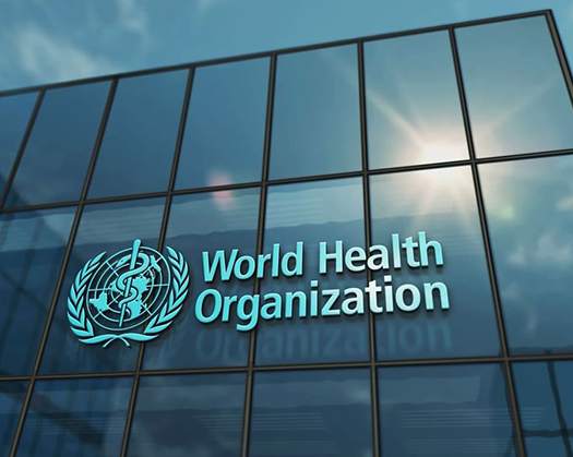 Famine In Gaza Threatens Thousands With Starvation, WHO Warns