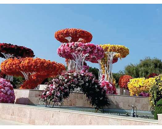 One Million Flowers From 20 Countries Bloom In Muscat Nights