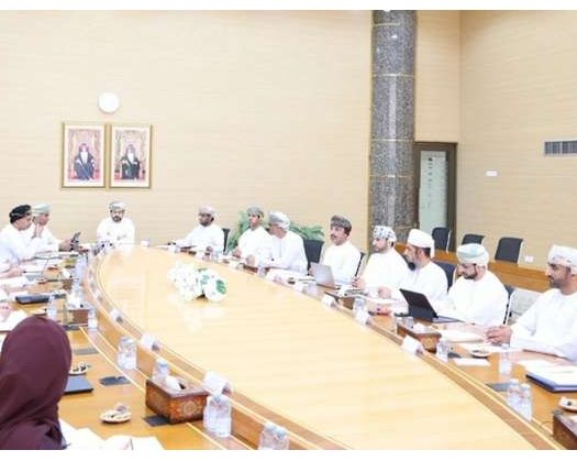 Supervisory Committee For National E-Commerce Plan Holds First 2025 Meeting