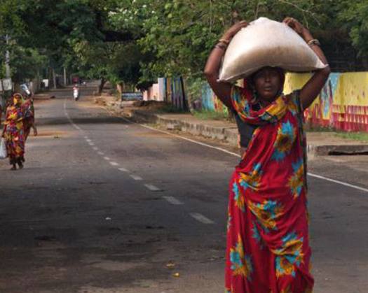 Rural Demand Revival To Boost FMCG, Auto And Mobile Phone Sales: Report