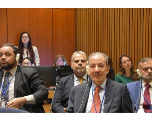 Oman Participates In International Conference On Peaceful Settlement Of Palestinian Question