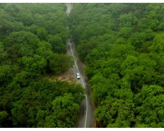 Driving Along Wadi Agheer Road In Salalah Is A Visual Treat For Tourists